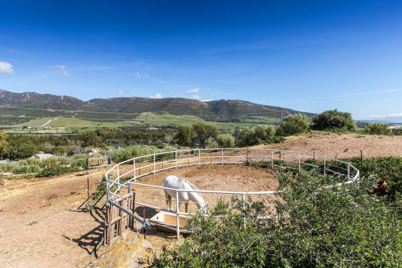 Casita Rural En Centro De Hipica Apartment Тарифа Екстериор снимка