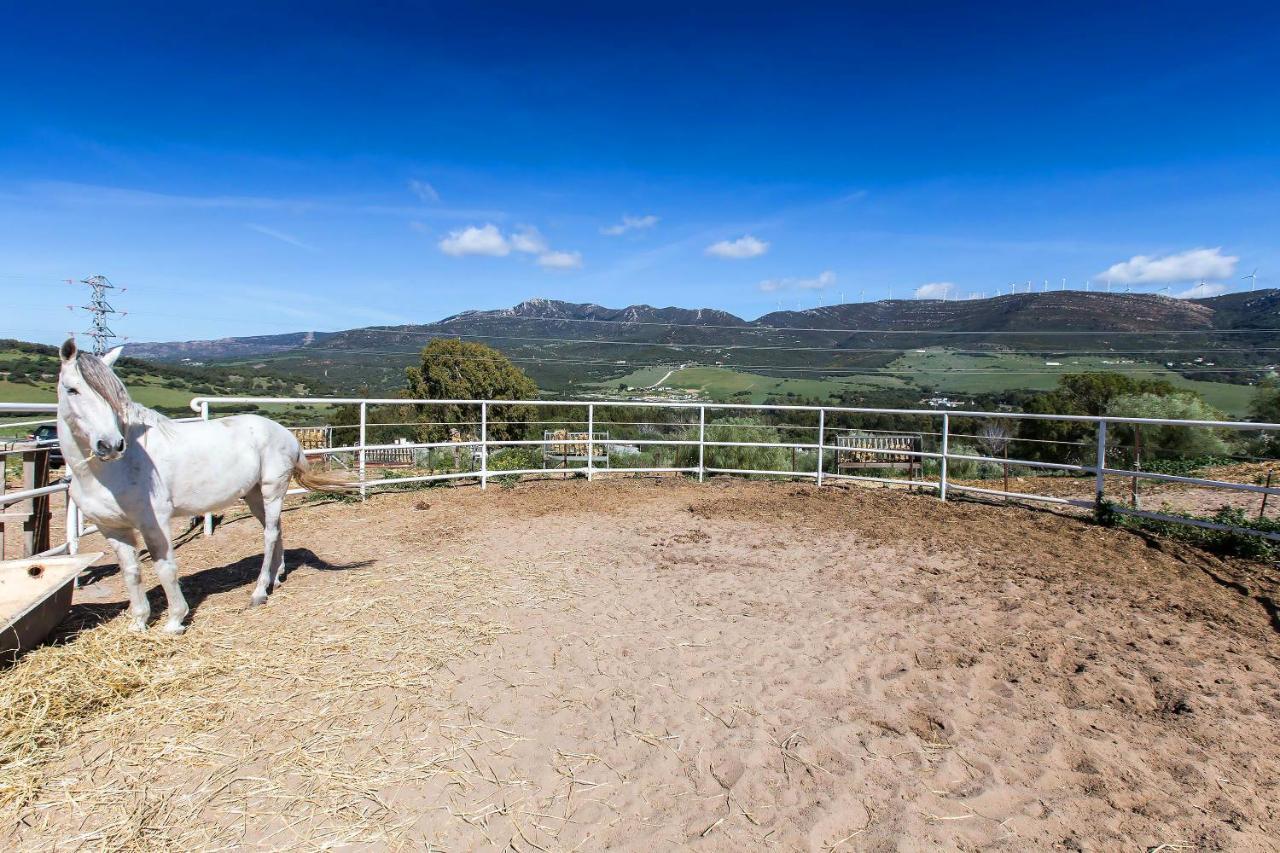 Casita Rural En Centro De Hipica Apartment Тарифа Екстериор снимка
